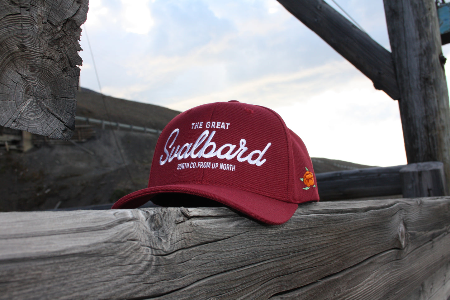 CAP 120 TGS MAROON