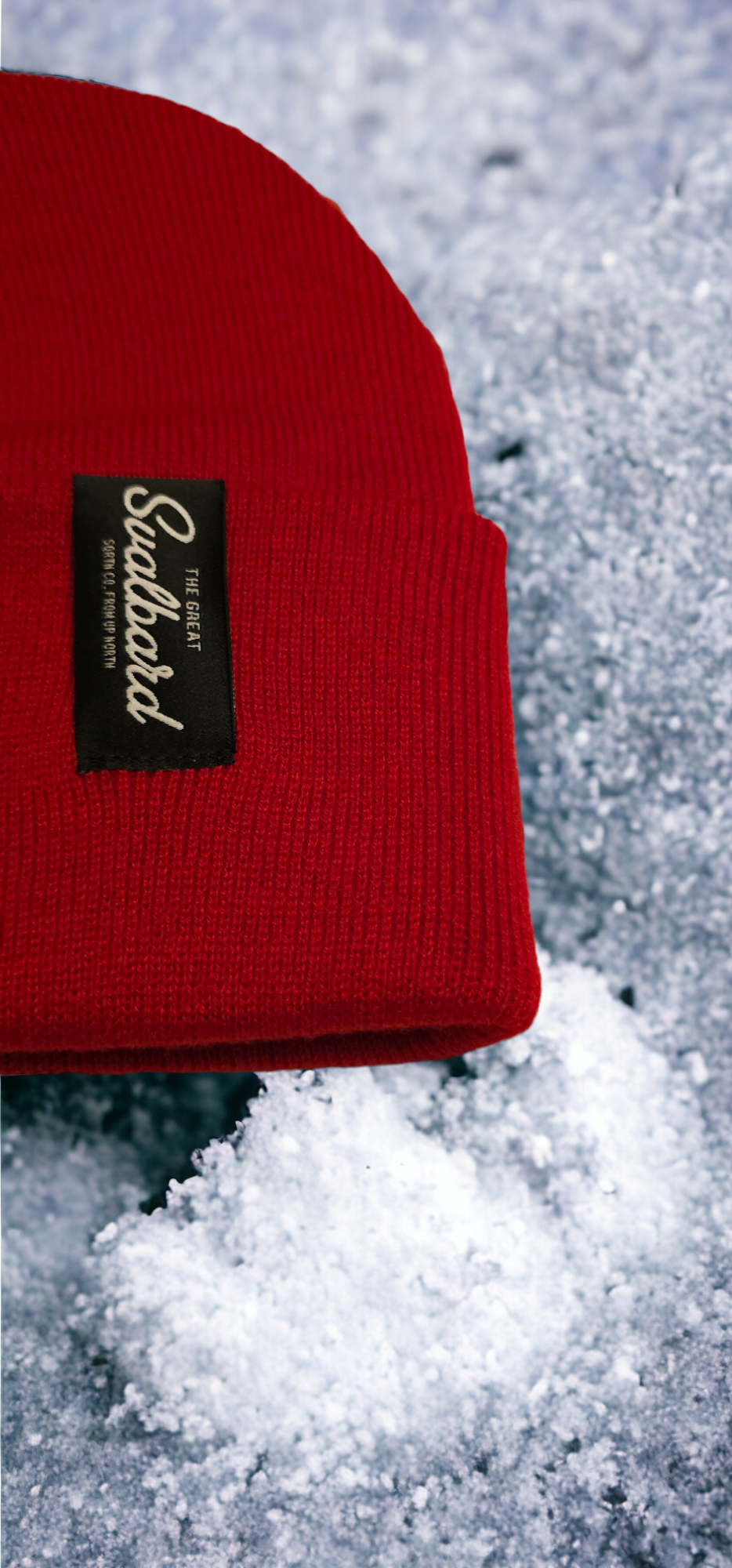 BEANIE LOGYEARBYEN 11 COLORS