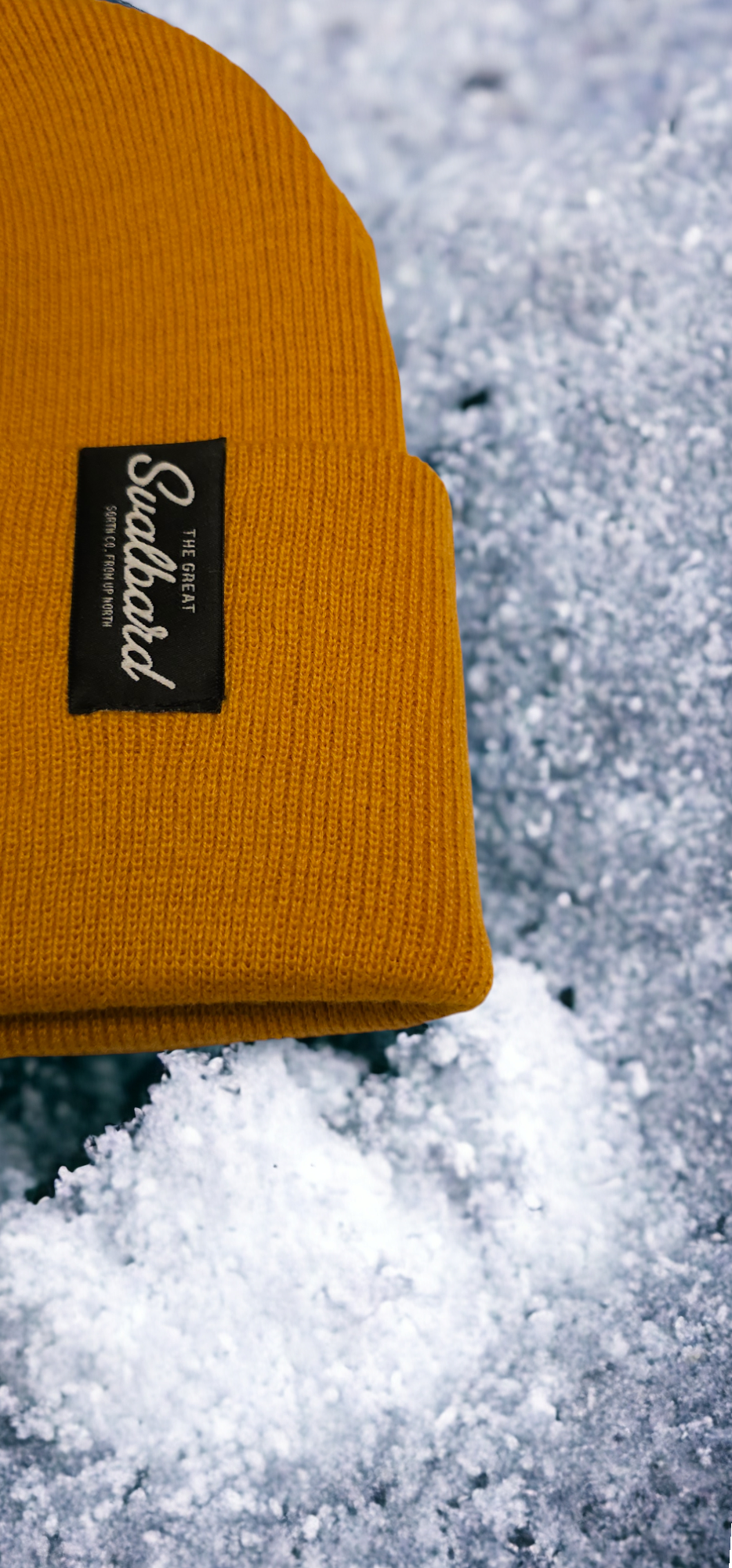 BEANIE LOGYEARBYEN 11 COLORS